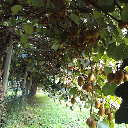 Alloggio per agriturismo Sant' Anna