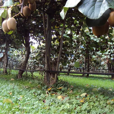 Alloggio per agriturismo Sant' Anna *